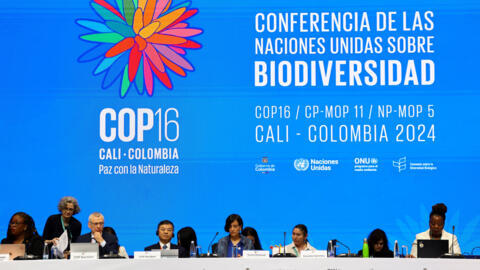 Colombia's Environment Minister Susana Muhamad and other participants attend the opening plenary of the 16th United Nations Biodiversity Summit (COP16), in Yumbo, Colombia October 21, 2024. REUTERS/Luisa Gonzalez