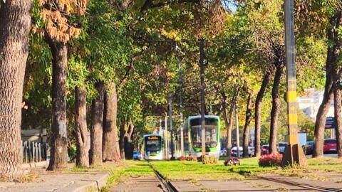 Tramvaie in Bucuresti