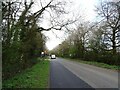 TQ2438 : Charlwood Road by JThomas