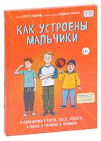 Как устроены мальчики