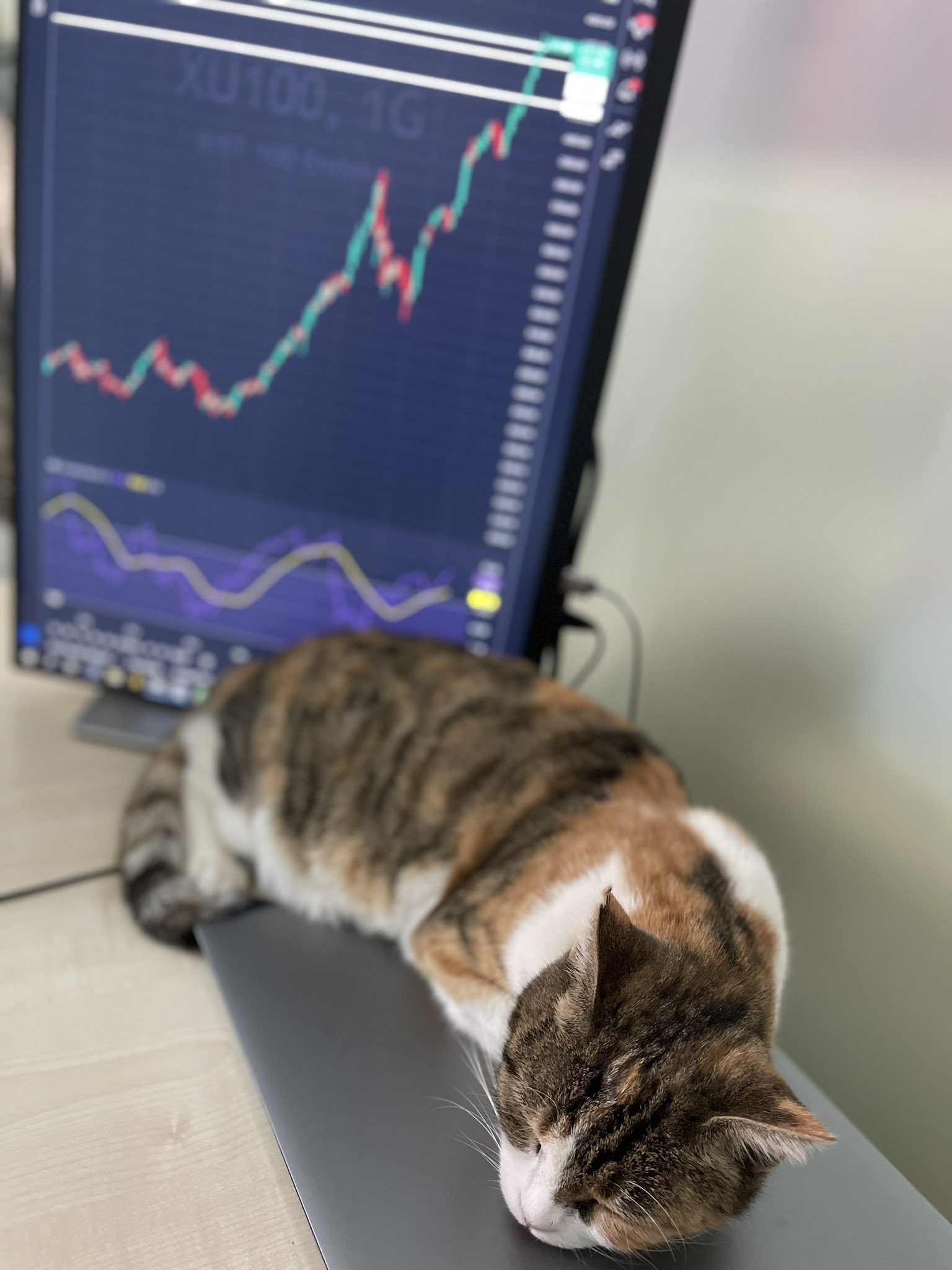 Gráfico do TradingView no Instragam @Ceyhun Özgür GÖNÜL