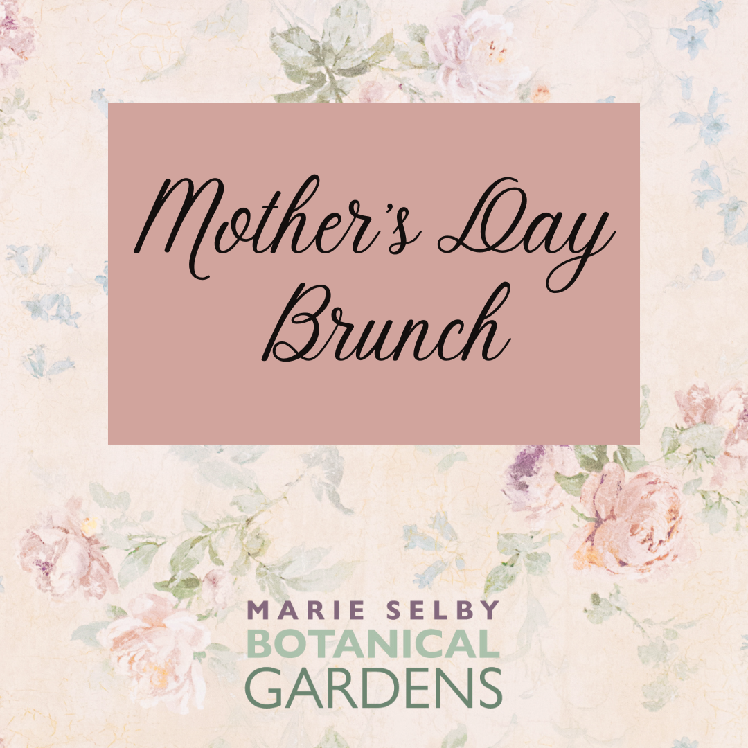 Mother's Day Brunch
