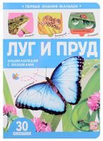 Луг и пруд. Первые знания малыша