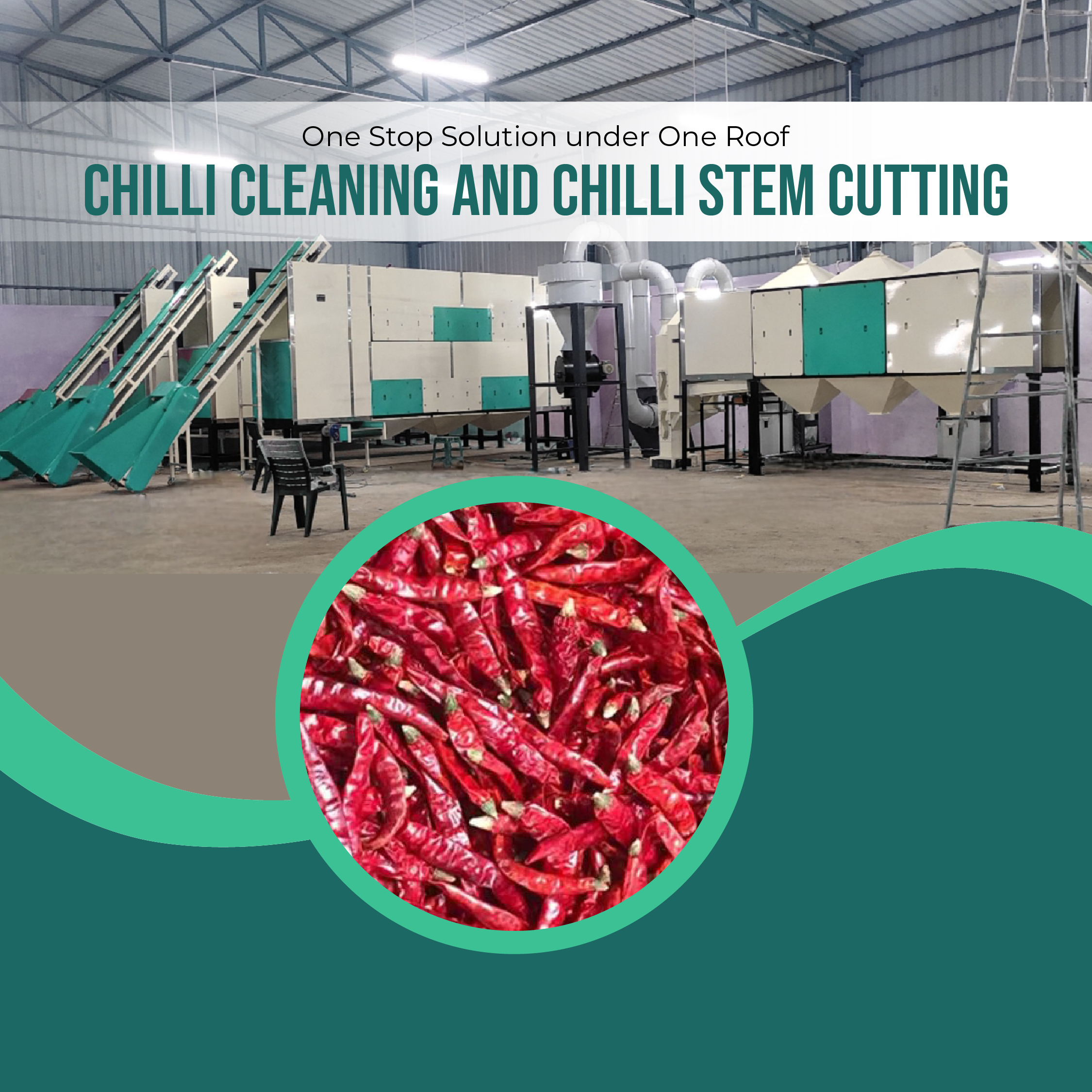 saansaa-chilli-cleaning-and-stem-cutting-machine-india