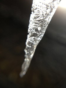 IMG_0742