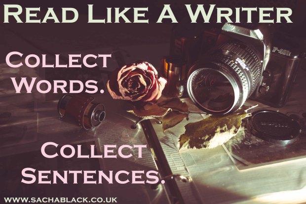 Collect Words, Collect Sentences