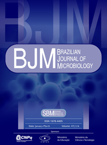 revista-bjm