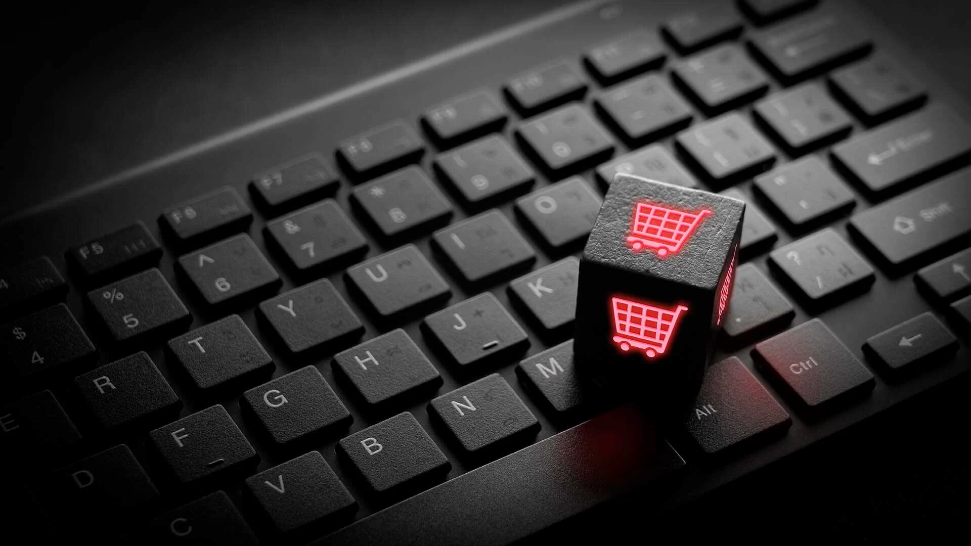 Scorpion E-commerce, ERP, CRM hazirlanmasi