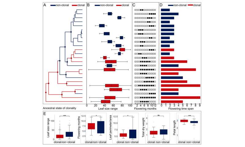 Shifts in reproductive strategies in the evolutionary trajectory of plant lineages