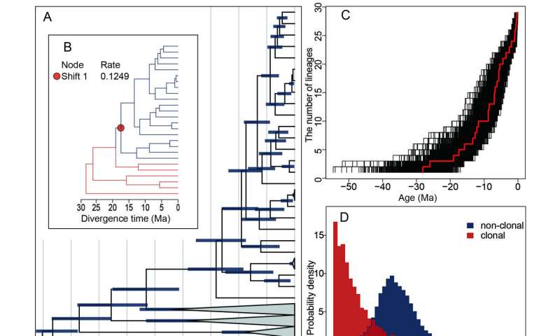 Shifts in reproductive strategies in the evolutionary trajectory of plant lineages