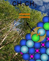 Molecule's carbon chain length affects oxygen's departure in key reaction for building bio-fuels