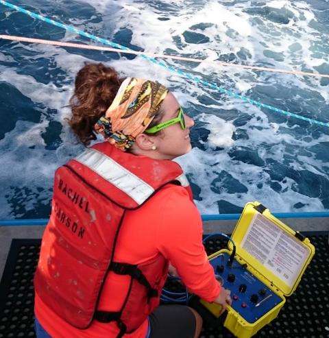 Scientists track porpoises to assess impact of offshore wind farms