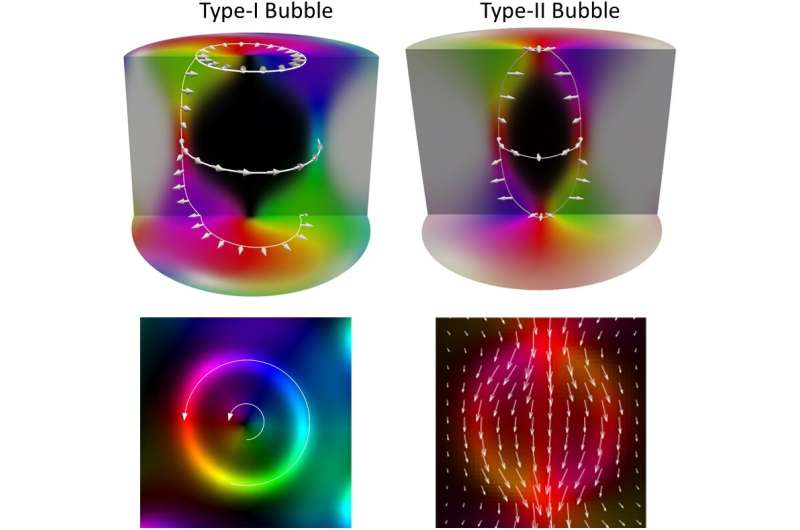 Magnetic nature of complex vortex-like structures in a Kagome crystal Fe3Sn2