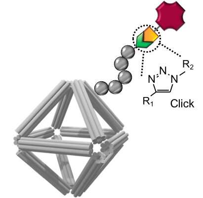 Protecting DNA origami for anti-cancer drug delivery