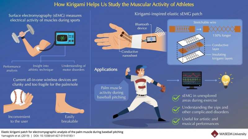 How kirigami can help us study the muscular activity of athletes