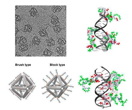 Protecting DNA origami for anti-cancer drug delivery