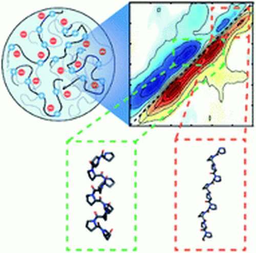 Researchers find evidence of protein folding at site of intracellular droplets