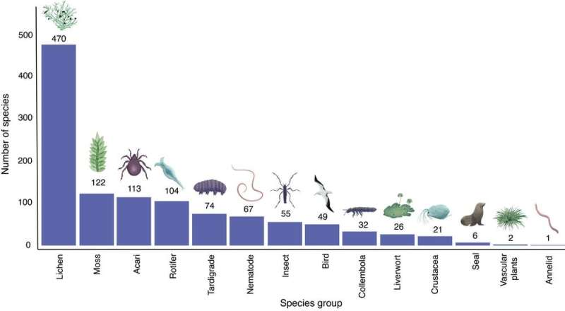 Toughness has limits: over 1,100 species live in Antarctica – but they're at risk from human activity