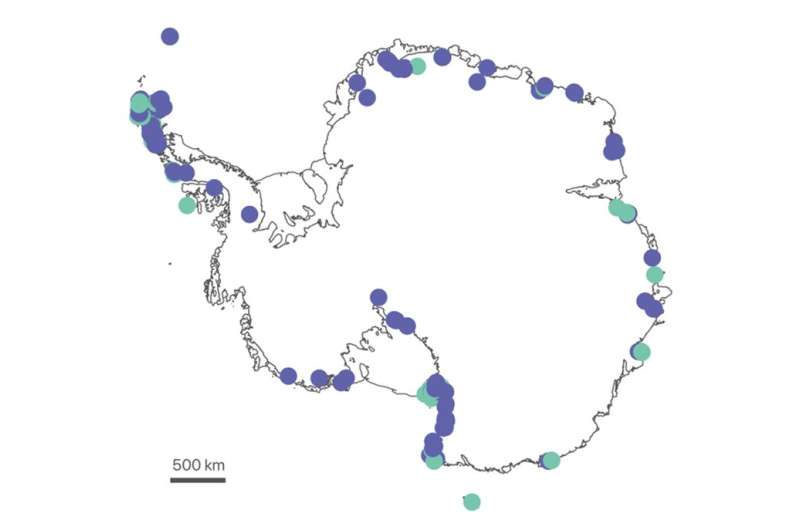 Toughness has limits: over 1,100 species live in Antarctica – but they're at risk from human activity