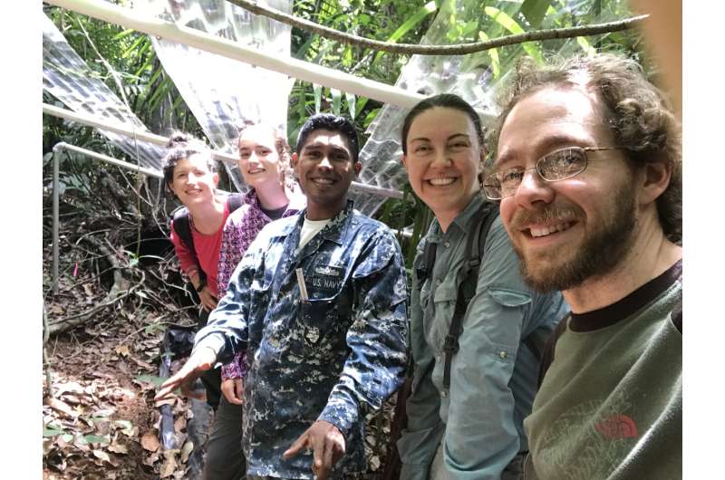 Carbon 'bank' at risk of failure: Scientists trying to determine what will happen to massive carbon stores as rainforests dry ou