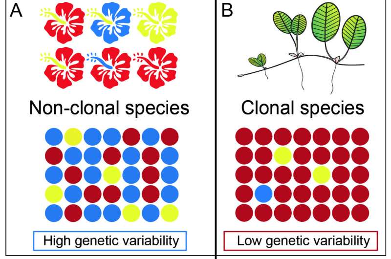 Shifts in reproductive strategies in the evolutionary trajectory of plant lineages