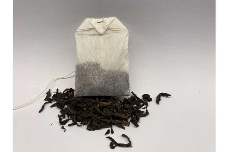 Brewing tea removes lead from water