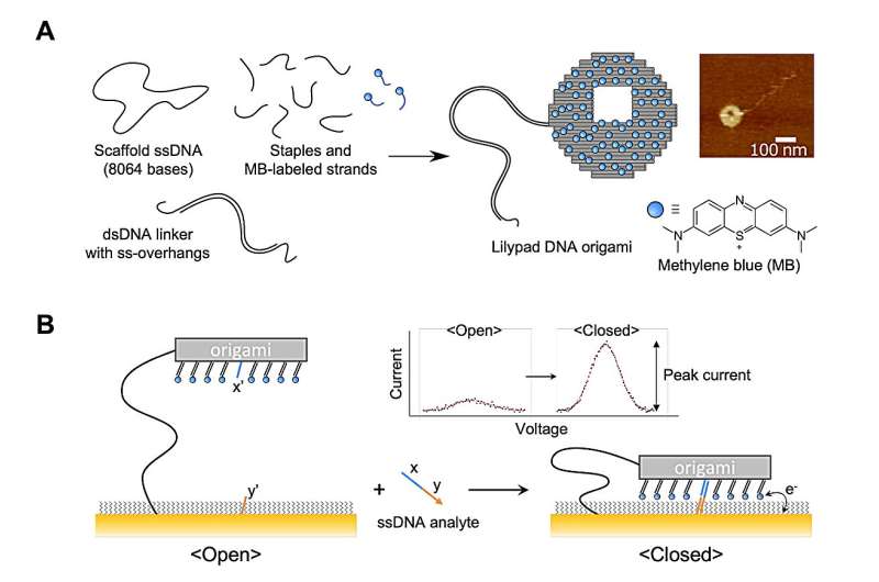 DNA origami suggests route to reusable, multifunctional biosensors