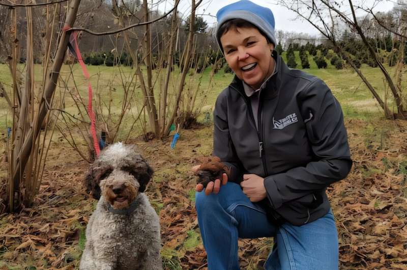 'Dog-found' truffle: Researchers and dogs discover new truffle species