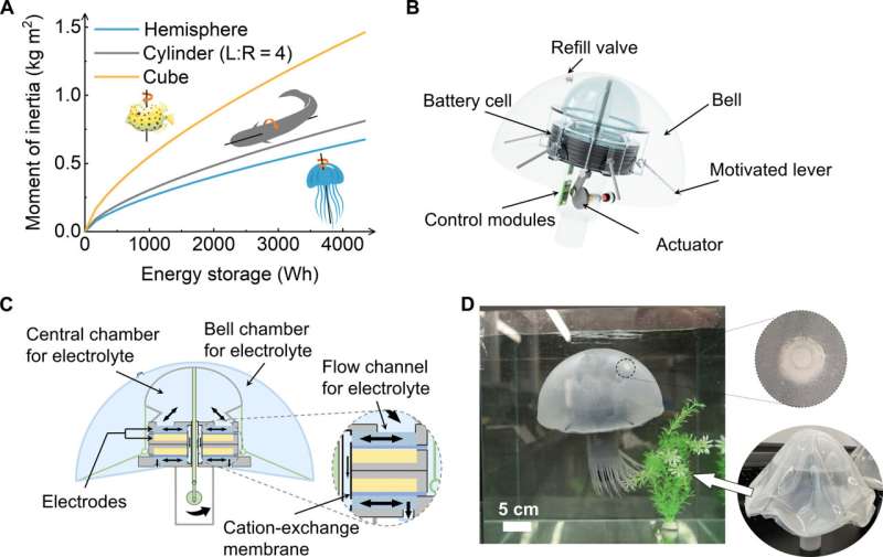 'Embodied energy' powers modular worm, jellyfish robots