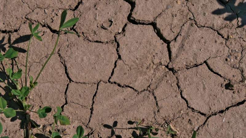 Groundwater threatened by droughts and heavy rainfalls