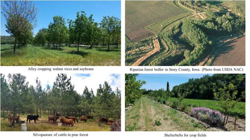 New agroforestry maps plot environmental, social, and economic benefits of trees