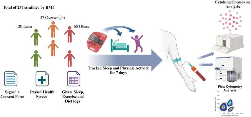 One day of sleep deprivation can alter your immune system and increase inflammation