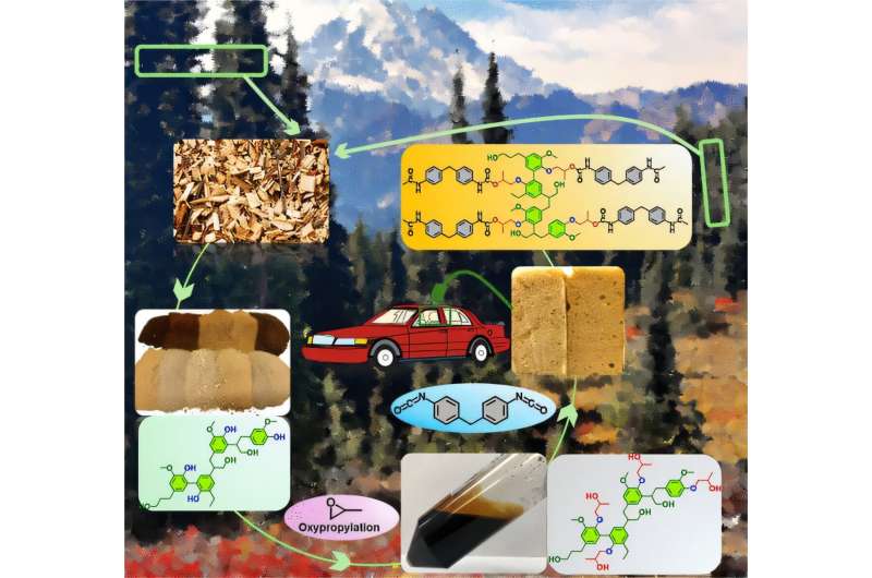 Plant-based substitute for fossil fuels developed for plastic foams