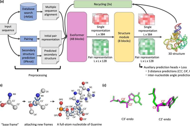 Researchers advance RNA medical discovery decades ahead of schedule