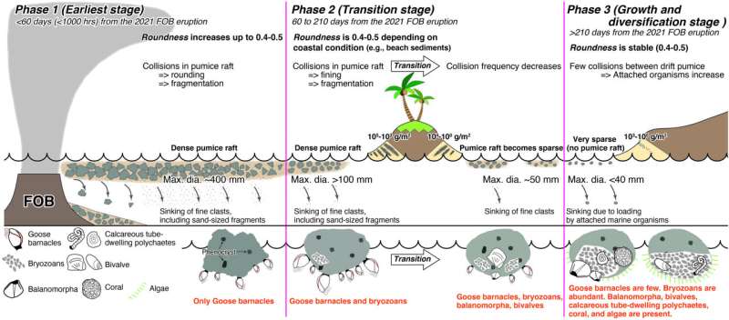 Scientists track evolution of pumice rafts after 2021 underwater eruption in Japan