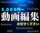 YouTube SNS ビジネス動画編集いたします 基本を大切に分かりやすく丁寧に対応させていただきます! イメージ1