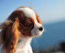 文字起こし受け賜ります ワープロ検定1級所有してます!お任せください。 イメージ1