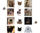 ペットのお写真加工します Tシャツやグッズに使えるようにお写真加工✨ イメージ2