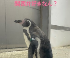 関西弁がいいよって方には関西弁で話します 優しい関西弁でお話しします╰(*´︶`*)╯♡