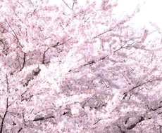 梅雨を吹き飛ばせ企画!あなたの幸せを引き寄せます 八百万の神と繋がったシャーマンが幸せを呼びます〜守護神鑑定付