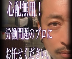 職場のハラスメントをひとまとめにしてお聞きします 最前線で相談に乗って来た元労働組合役員がアドバイスします☆
