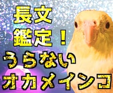西洋占星術の基本+ハウス+アスペクトを占います 【おおきなオカメインコうらない】ここまで占えばもう完璧!