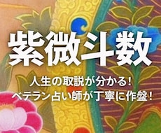 紫微斗数で宿命を占い、開運のお手伝いをいたします ★日本では馴染みがないですが、圧倒的的中率の占術です★