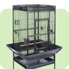 Bird Cages