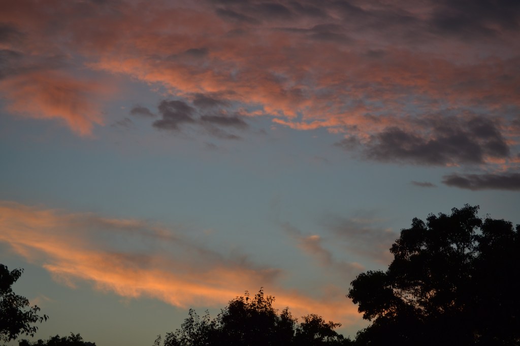 DSC_0022