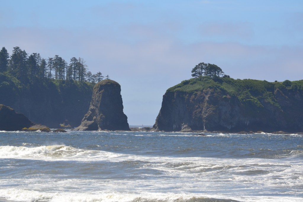 DSC_0526