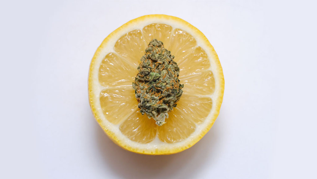 Organic CBG and Terpenes
