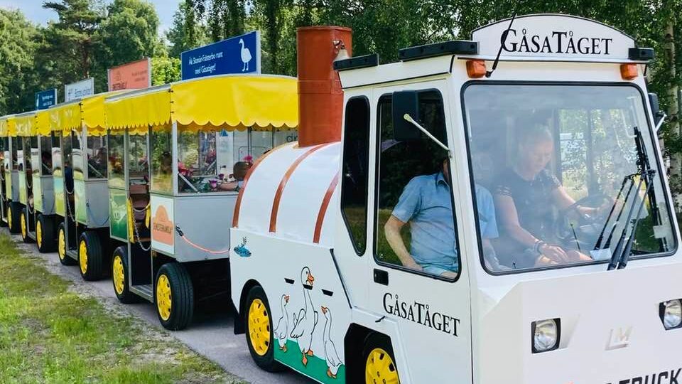 Gåsatåget