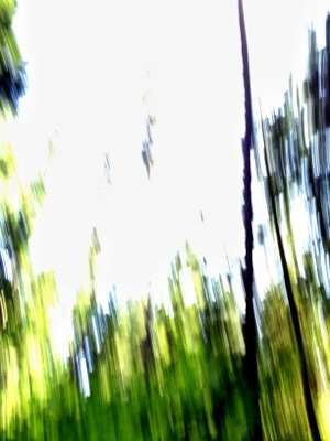 Camping blur 20120730-162440.jpg