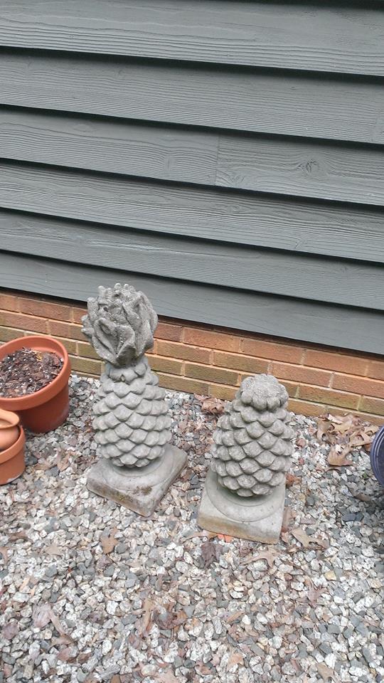 Pineapples from neighbor